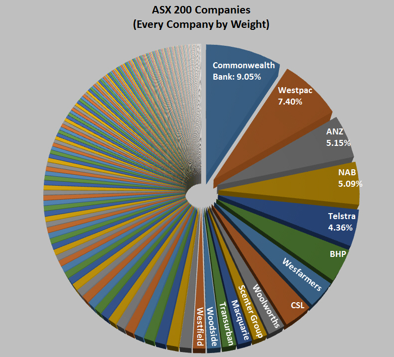 Every ASX 200 company by weight